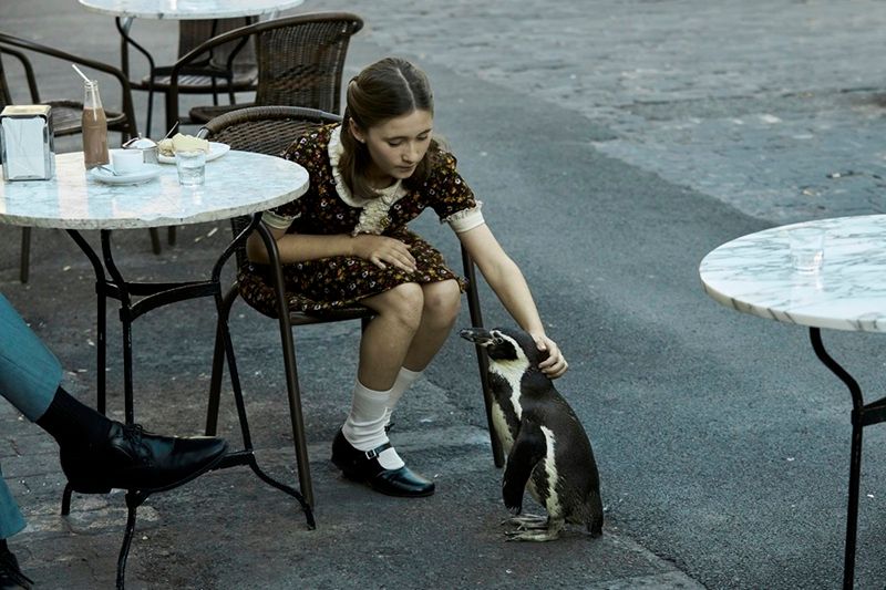 Galeria de Lições de Liberdade - Imagem 4